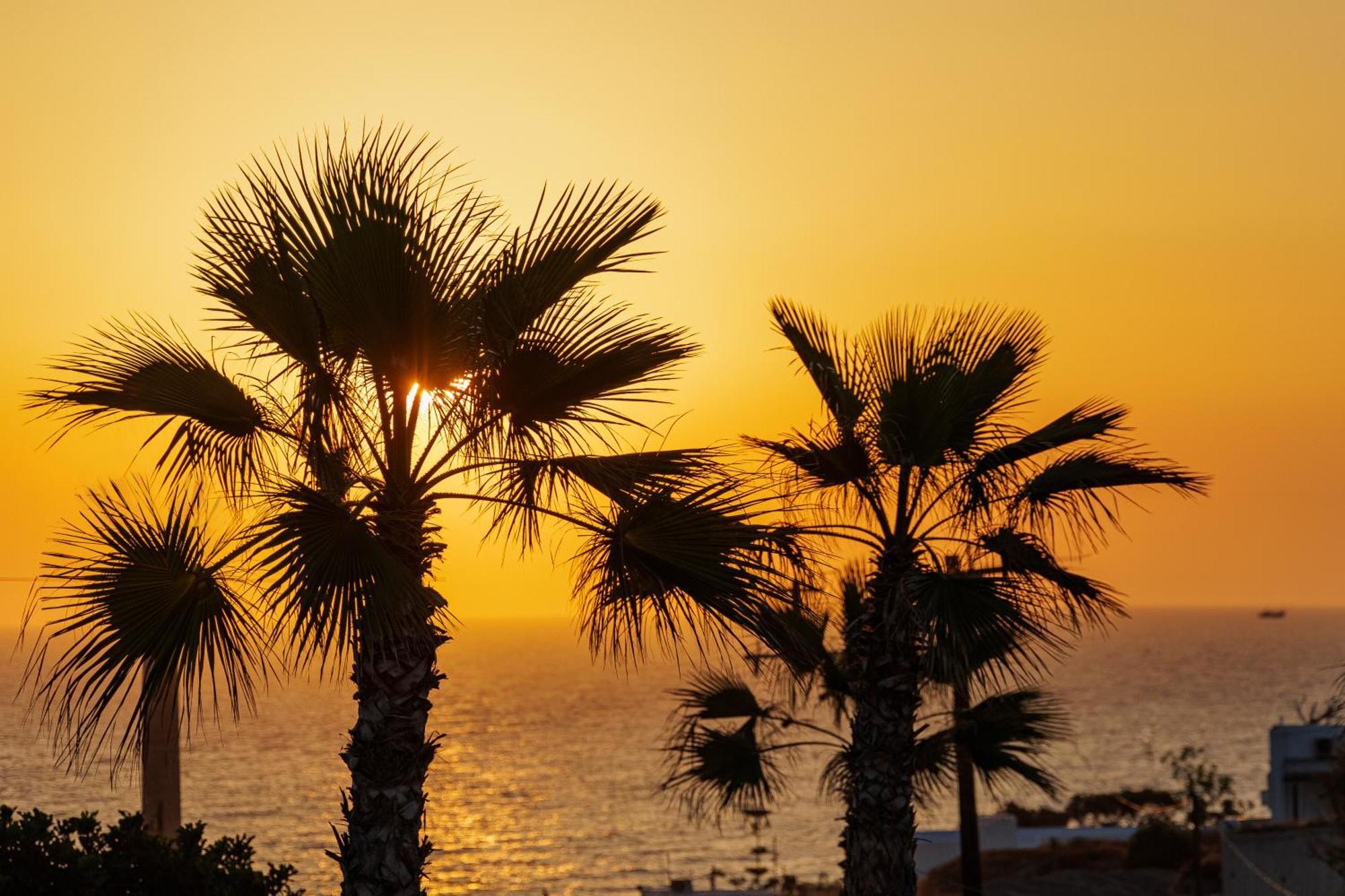 Desiterra Resort & Spa Fira  Esterno foto